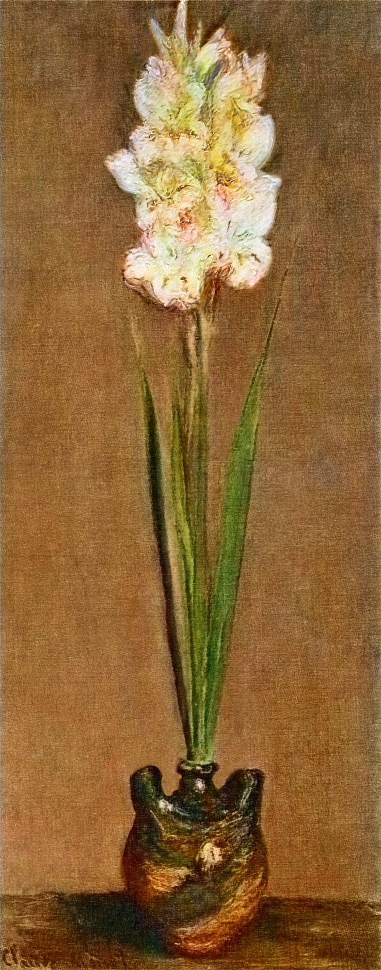 Gladiolus 1881